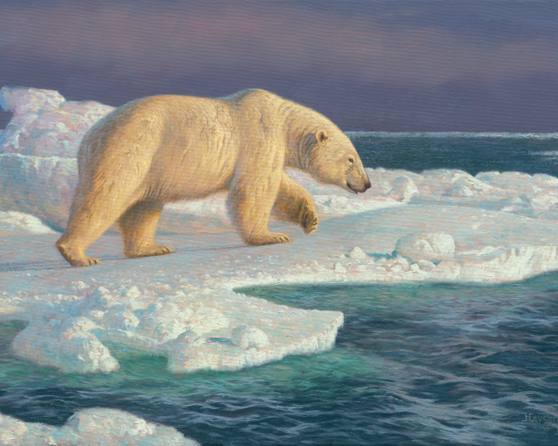 King of the Polar Ice