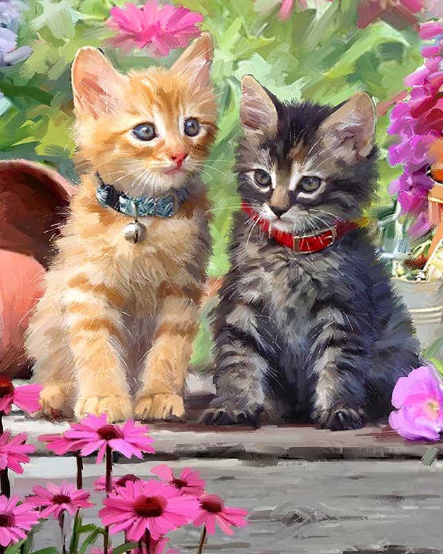 Colorful kitten - Paint by Numbers Kit for Adults DIY Oil Painting Kit on  Canvas