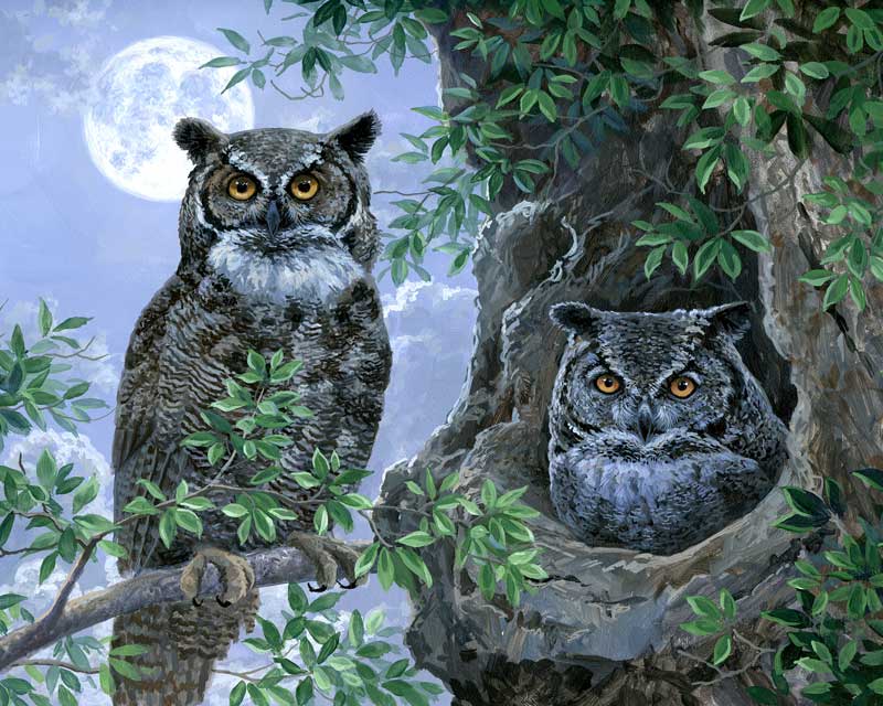 Night Owls