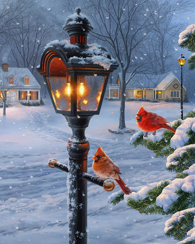 Warmth Of Winter