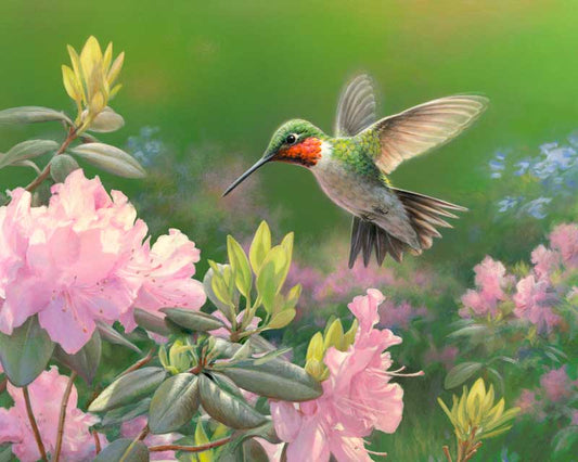 Hummingbird