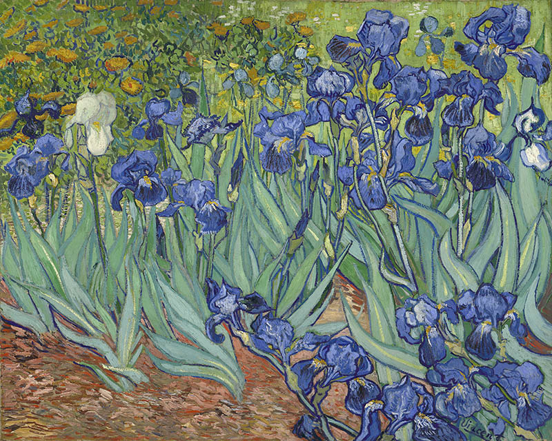 Van Gogh - Irises