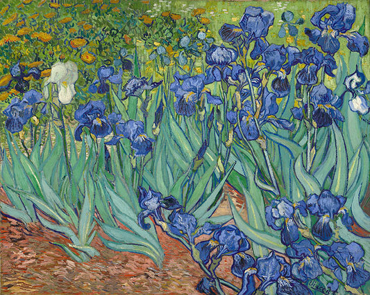 Van Gogh - Irises