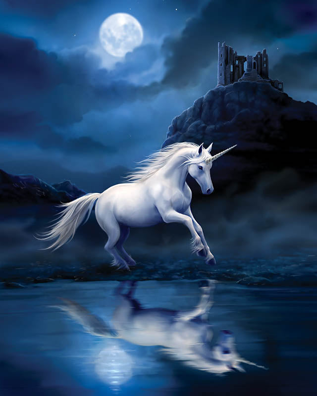 Moonlight Unicorn