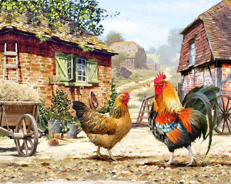 Farmyard Chickens