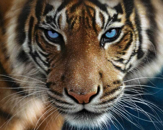 tiger paint by number