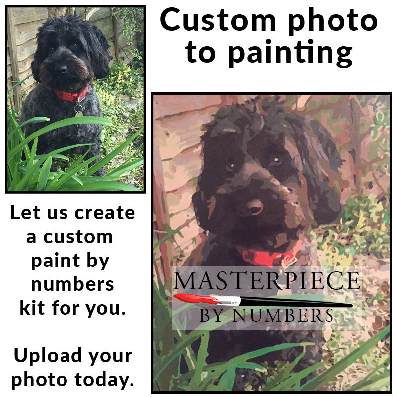 Custom Paint By Numbers Kit